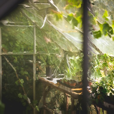 Pieces to Fall (feat. spellbook) - Single