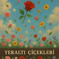 Short TR version - Single - Arctic Paws