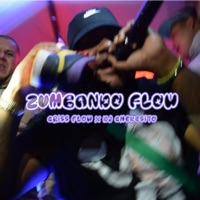 Zumbando Flow (feat. Dj chekesito) - Single - Criss Flow 