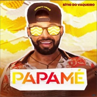 Sítio do Vaqueiro - Single - PAPAMÉ