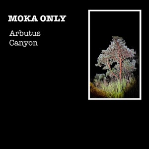 Arbutus Canyon