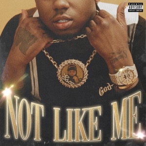 Not Like Me - Single