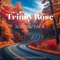 Trinity Rose - Candi Affirmation Music lyrics