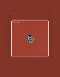 聆聽 Медведица、觀看音樂影片、閱讀小傳、查看巡演日期等！