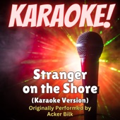 Stranger on the Shore (Karaoke Version Originally Performed by Acker Bilk) artwork