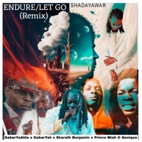 Endure/Let Go (feat. GabarYaAhla, Prince Miah, Genique, GabarYah & Sharath Benjamin) [Remix] - Single - Shadayawar