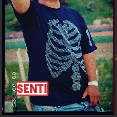 Senti (feat. Dimelo Nowell) - Single