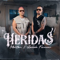 Heridas - Single - Moltton & Jacob Forever