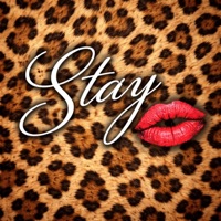 Stay (feat. Solrun7) - Single - Damaki