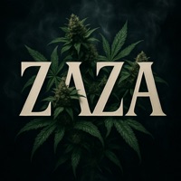 ZAZA - Single - Ocho Green & MonMon