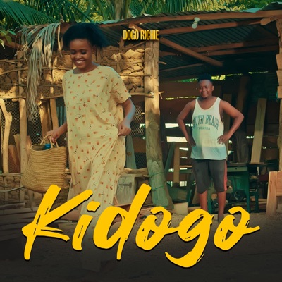 Kidogo - Single