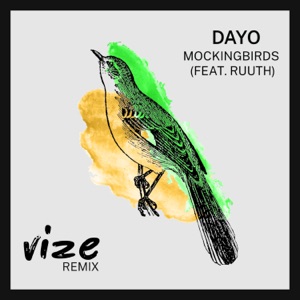 Mockingbirds (feat. Ruuth) [VIZE Remix]