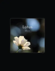 WallyB.을(를) 듣고, 뮤직 비디오를 보고, 약력을 읽고, 투어 일정 등을 확인하세요!