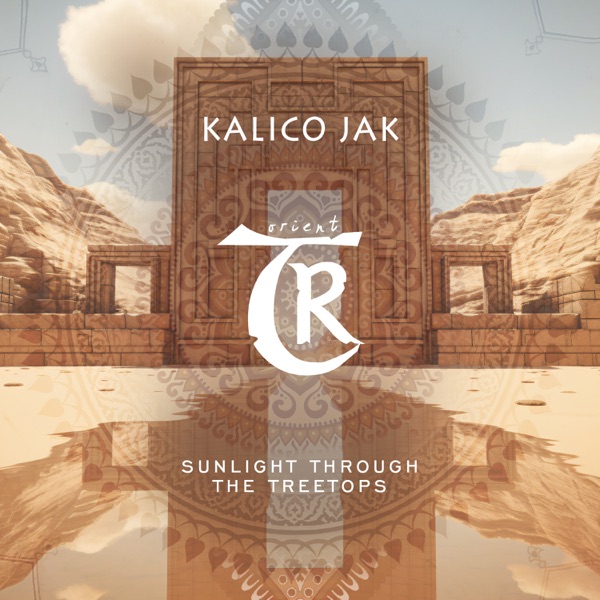 Sunlight Through the Treetops - Single