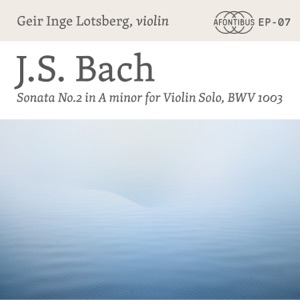 Sonata No. 2 in A Minor for Violin Solo, BWV 1003: l. Grave