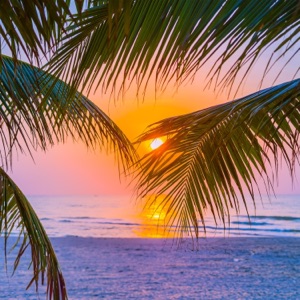 Sunset Hideaway: Ibiza Tropical Nights