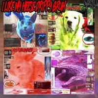 I LIKE MY HEESE DRIPPY BRUH - EP - Roizor