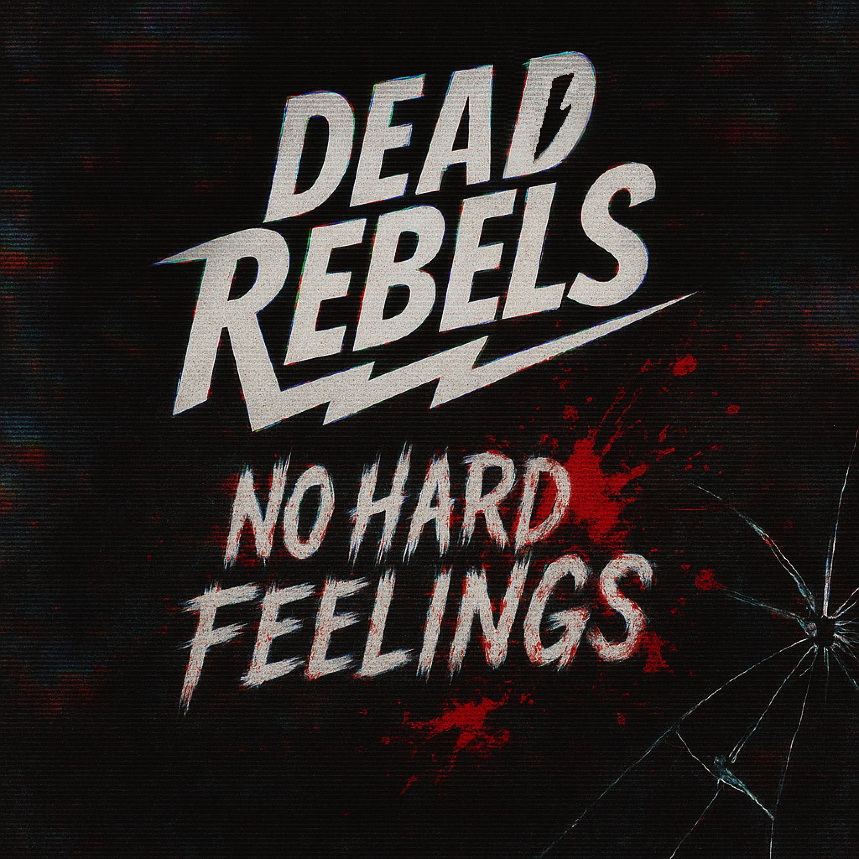 No Hard Feelings - Single