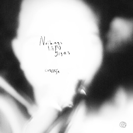 Nothings Into Signs Casper Sage