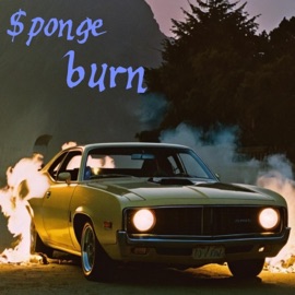 Burn $ponge