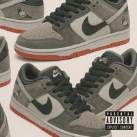 Pigeons - Single - Suede Jetson