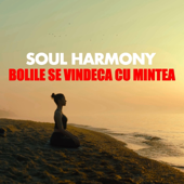 Bolile se vindeca cu mintea