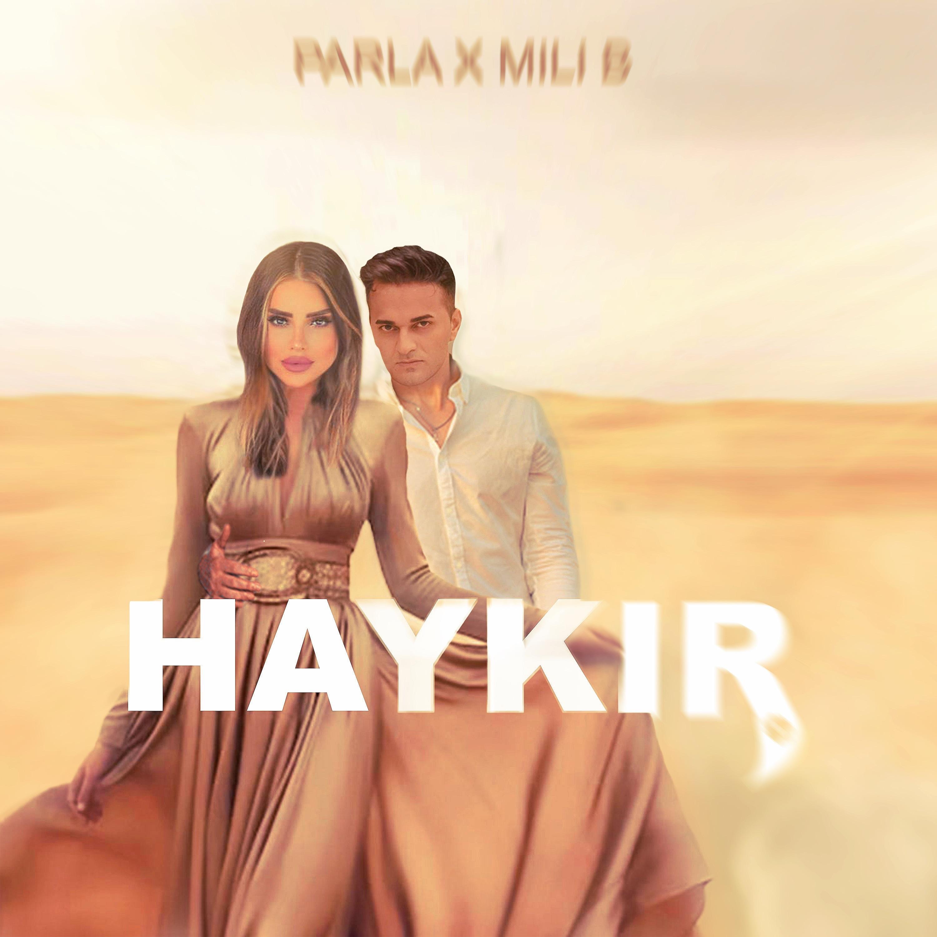 HAYKIR - Single