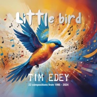 Little Bird (22 Compositions from 1995-2024) by Tim Edey on Apple Music