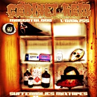 CABINET RAID (feat. voidkiss) - Single - MAGGOTBLOOD