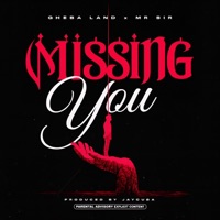 Missing you (feat. Mr sir) [Radio Edit] - Single - Gheba Land