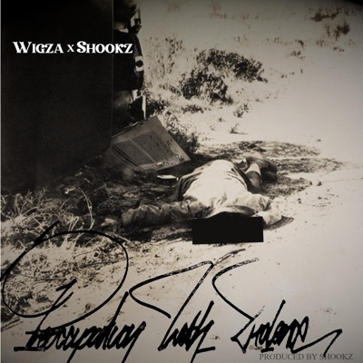 Preoccupation With Violence (feat. Shookz one) - Single