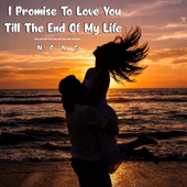 I Promise To Love You Till The End Of My Life