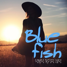 이별이 믿기지 않아 Bluefish