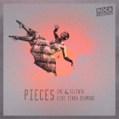 Pieces artwork