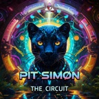 The Circuit