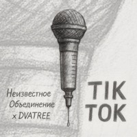 TikTok - Single - Неизвестное Объединение & DVATREE
