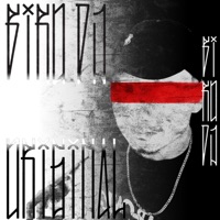 DJ Biro Virou Indio (feat. MC Negritin) - Single - Biro DJ