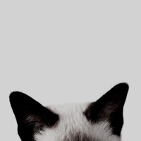 Trials & Karats - 2muchroxy