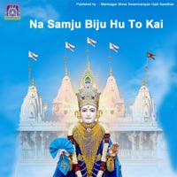 Na Samju Biju Hu To Kai - Single - Swaminarayan Gadi, Nitin Mukesh & KALYANJI ANANDJI