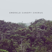 Emerald Canopy Chorus - Single - Natural Sound Makers