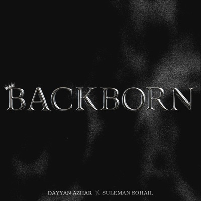Backborn (feat. Suleman Sohail & Ali Zeeshan) - Single