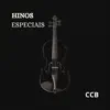 Renan Almeida Violinista - Hino 116 Amo ao Senhor
