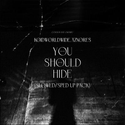 YOU SHOULD HIDE - Single