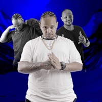 Pitbulls do Comando - Single - DJ GORDINHO DO CONFIA & MC MIlla