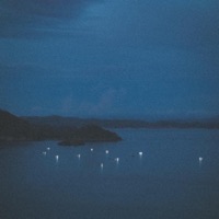 sea of life. - Single - ambifi. & Bends