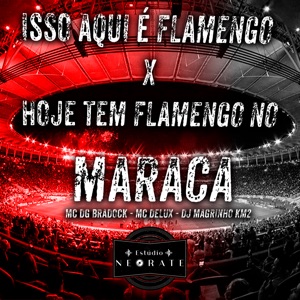 Isso Aqui É Flamengo X Hoje Tem Flamengo no Maraca