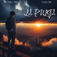 LA PULGA (feat. TONY EME) - Single - RICARDO SENA