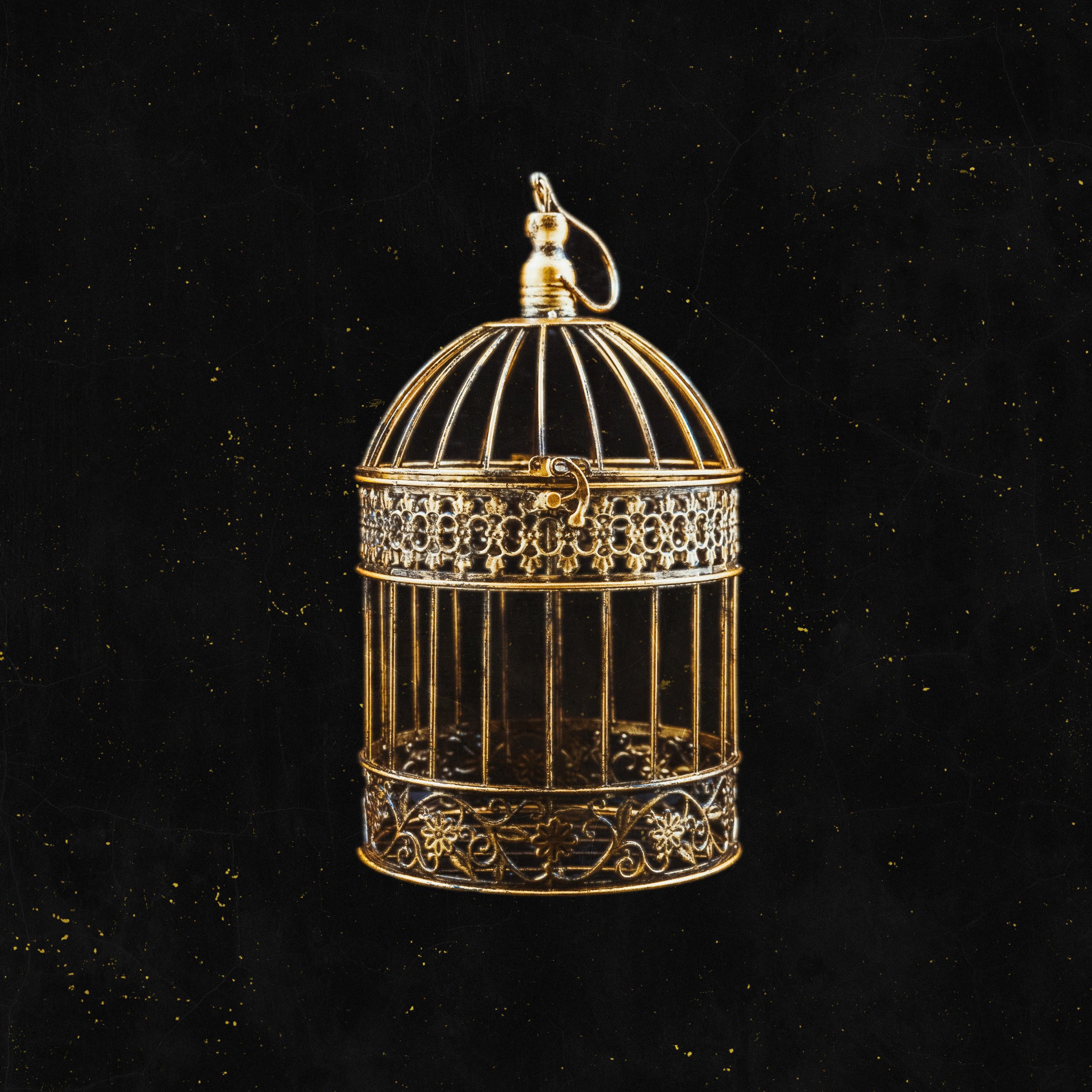 Modern Affliction - Single