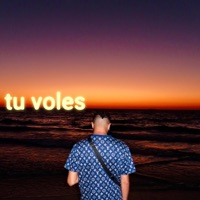 Tu voles - Single - Larbii