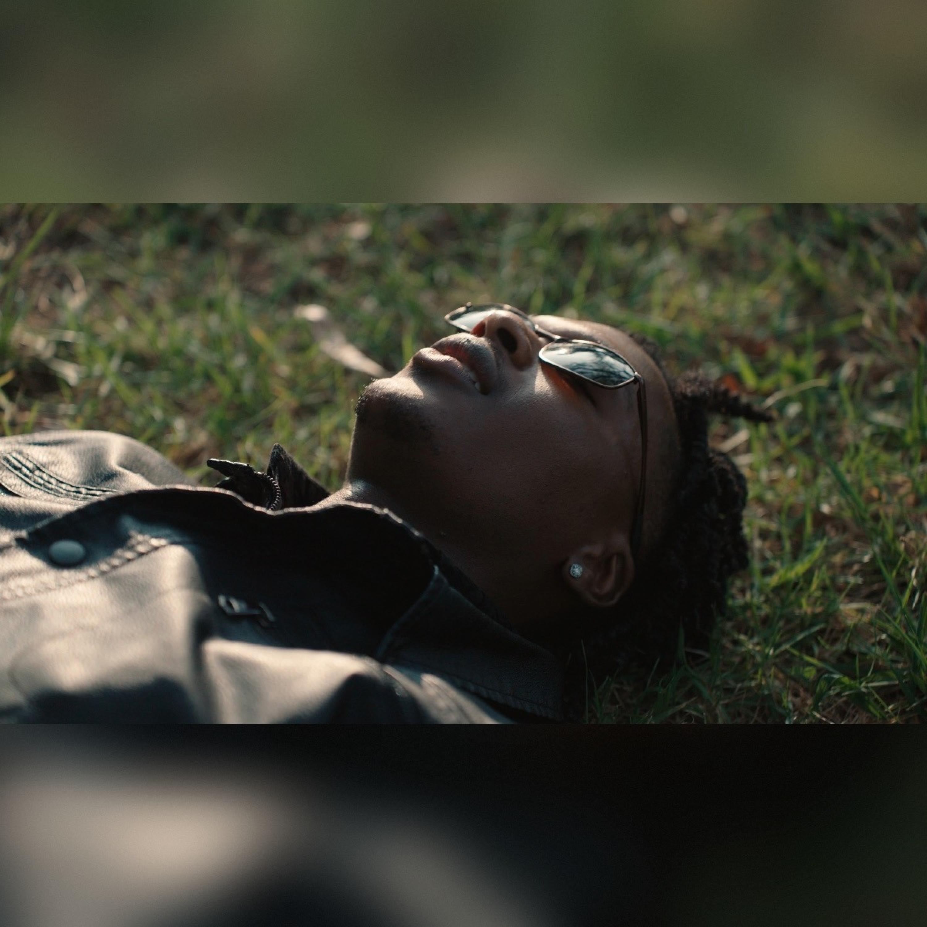 brown shades - Single